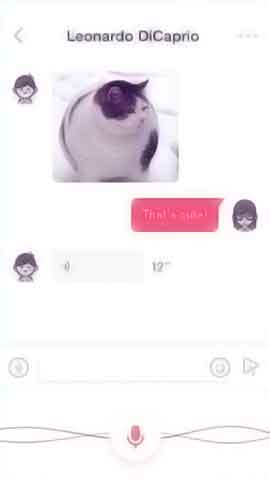 炸房器软件程序维护界面